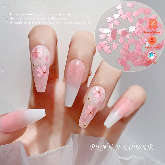 Set hoa Sakura mix màu